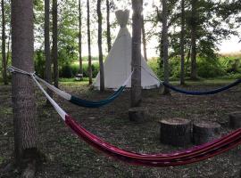 Au Chat qui Pêche, hotel v destinaci Thenay