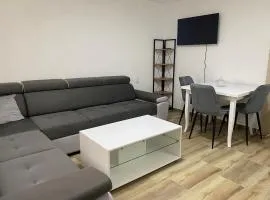 Oaza Apartment Goransko Plužine