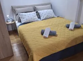 Studio apartman Delight Vrnjačka banja