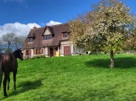 Relais équestre du Miloir - chambres d'hôtes