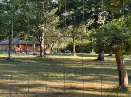 Location dans un airial