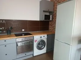 Моцарт Millenium park