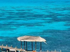 Cancún departamento frente al mar Amara