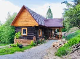 Domek Jędrusiówka - domek z kominkiem, w otoczeniu lasu, 2 sypialnie, góry, Beskidy