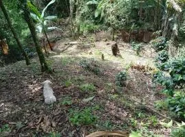 Casa parcela campestre