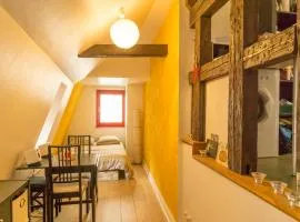 Charming Attic Duplex in the Heart of Strasbourg