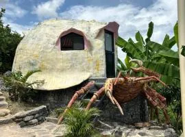 GLAMPING CARACOL-MUSEO DE MARAVILLAS DE LA VIDA MARINA, Basado en la vida del Mar