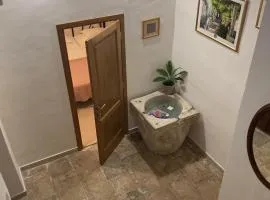 studio apartment Vicelic