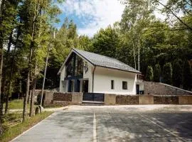 Vila Blanc Valiug Crivaia