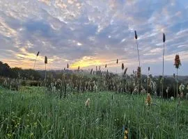 Welsh hilltop escape Llandeilo-Glamping and holiday let