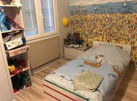 Chambre privée ARENA-GROUPAMA STADIUM- EUREXPO