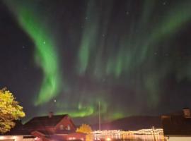 3 bedrooms&2bathrooms house with amazing view, Hotel in Tromsø
