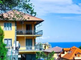 Vista mare tra gli ulivi
