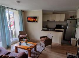 Espacio De Relajo Acondicionado Para El Descanso, Hotel in Villarrica