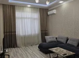 Parkentskaya 170 Tashkent apartment by RNB estate