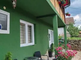 Temački konaci