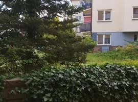 Apartament, 2 pokoje, stacja metra Kabaty, Ursynów