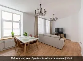 Spacious 1-bedroom apartment in the heart of Old Town