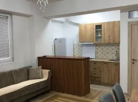 ANISI Apartment