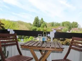 Apartment close to Sziget festival