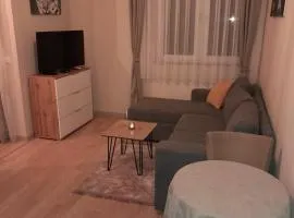 Gray Apartament 2 Pristina