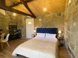 Casa de Pedra em Vinha no Dão