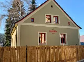 Žebřík postel Sušice