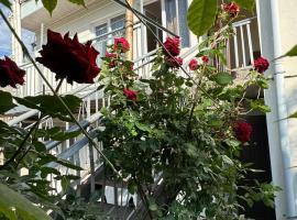 Center，位于戈里斯的酒店