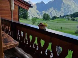 Ferienwohnung Datzmannlehen mit traumhaften Bergblick und Sauna