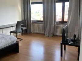 Studio Attic Villa Garden Zagreb Free Parking, Self Check In