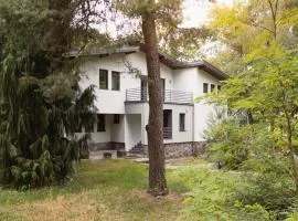 Pine House SPA pod Warszawą Jacuzzi, Sauna, Kominek, Grill, Las
