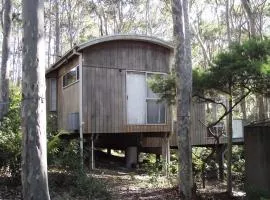 11 Burrawong