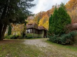 Esigman - log cabin in Transylvania