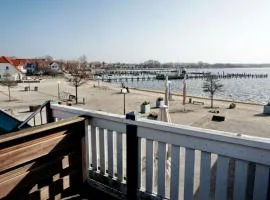 Fewo 06 Mantelmöwemit Blick auf Salzhaff und Ostsee