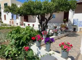 Fico d'India - Holiday Housing