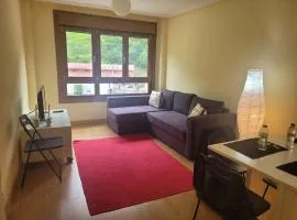 Apartamento en el centro Felechosa