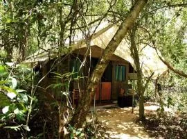 Explorer by Eco Team - Dambana