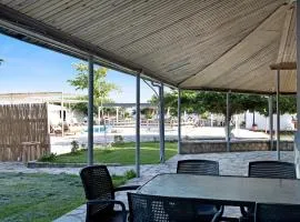 Iguana studio 11