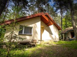 Przystań Lubniewice - Duże Domki, hotel em Lubniewice