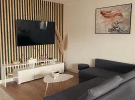 Appartement T3 Clermont-Ferrand