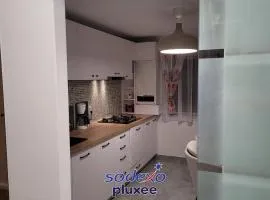 Hermann Apartment