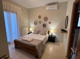 Coral Studio