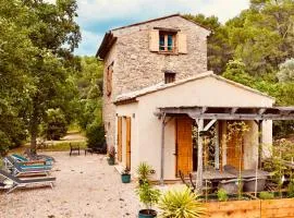 Beautiful 17th century Bastidon in Provence