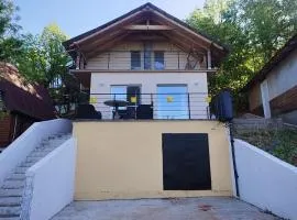 Bovan vikendica izdavanje