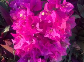 The Voyager lodge, hotel in Port Mathurin