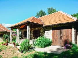 Kužina