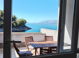 Pansion Vide, hotel v destinaci Bogomolje