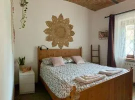 La casa Rosa