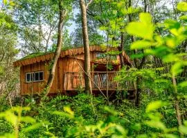 Cozy Home In Hoogersmilde With Wifi