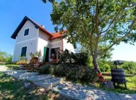 Panorámaház Lovason